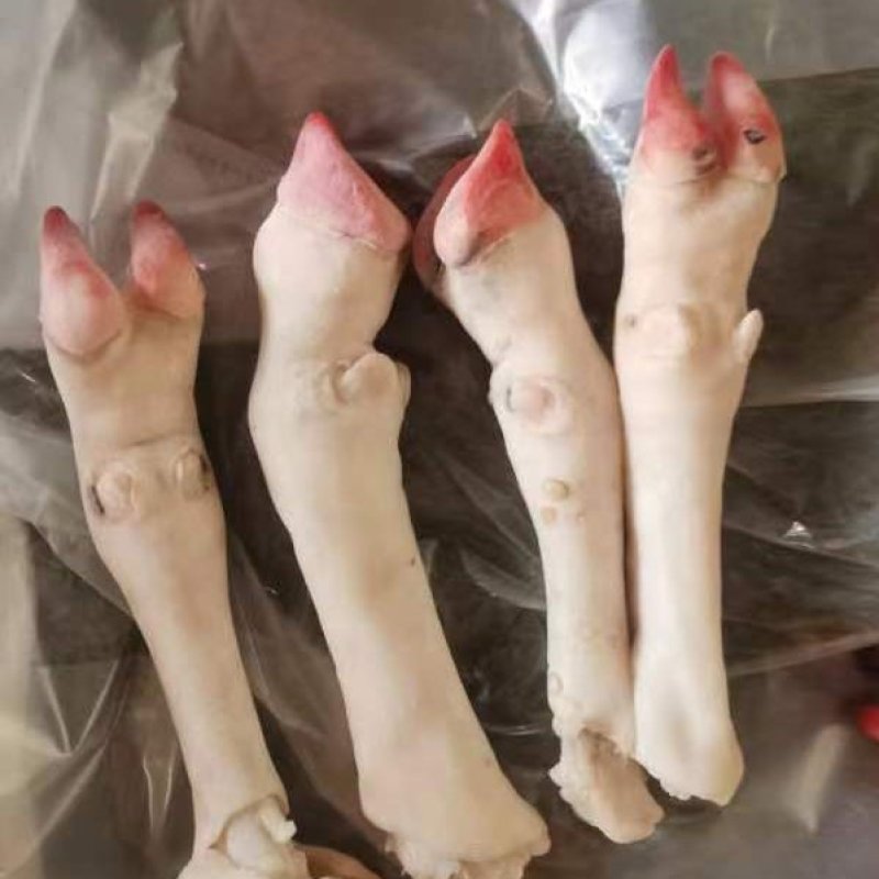 羊蹄，