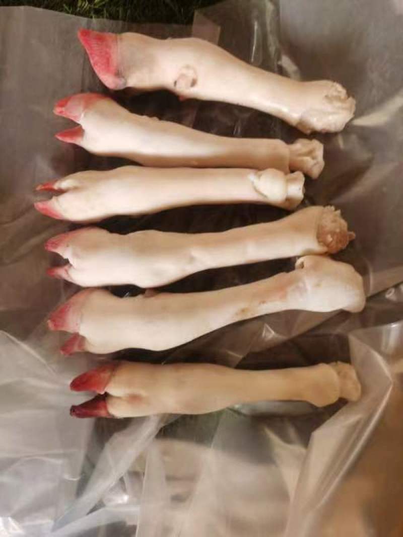 羊蹄，