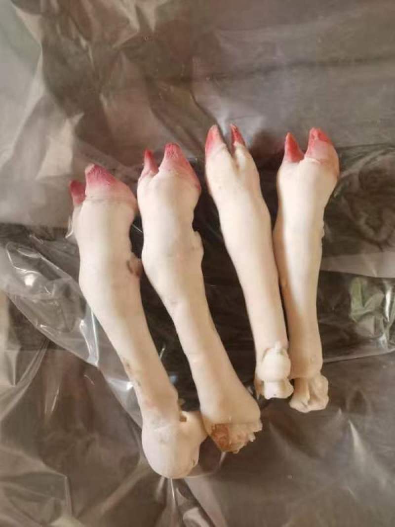 羊蹄，