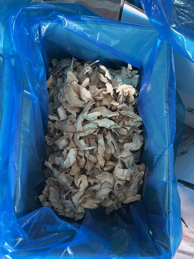 烘干冬瓜片