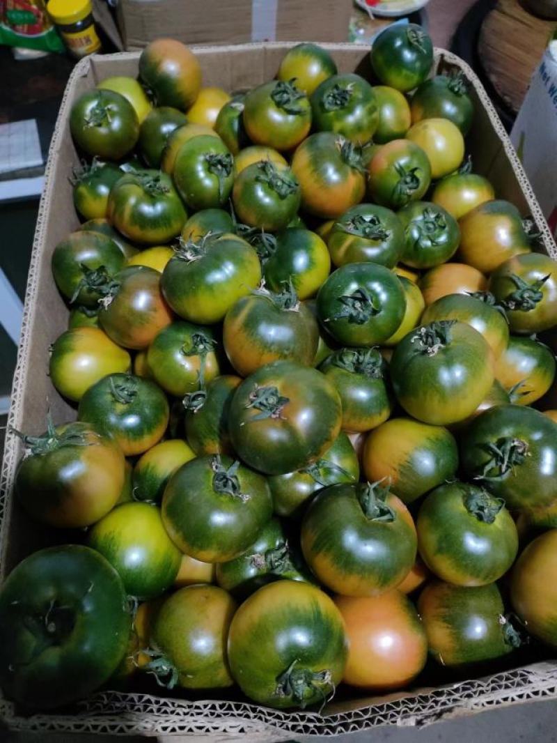 草莓柿子草莓西红柿大量上市产地直供一手货源口感嘎嘎好