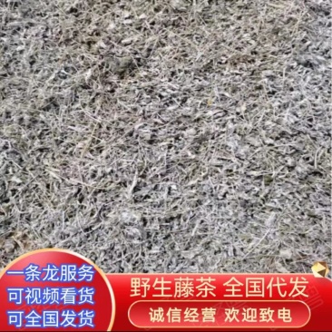 湖南野生莓茶藤茶产地直供一手货源品质保证全国发货