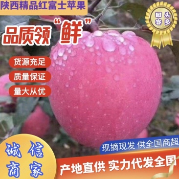 陕西咸阳礼泉县纸袋红富士，双节前大量供应，各大平台，批发商