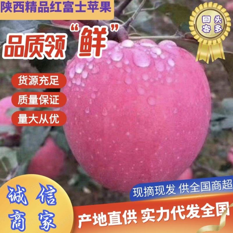 陕西咸阳礼泉县纸袋红富士，双节前大量供应，各大平台，批发商