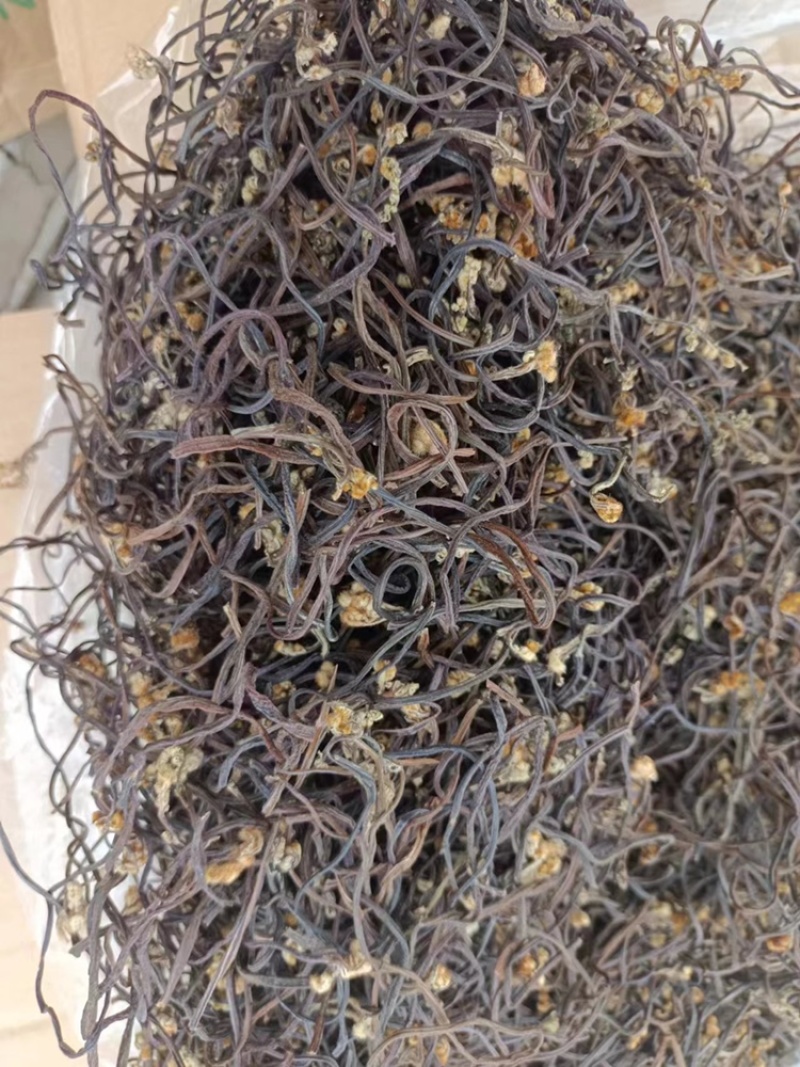 湖南蕨菜