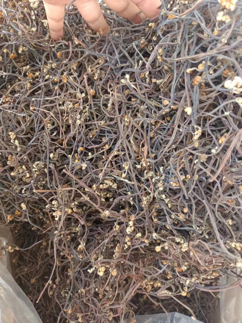 湖南蕨菜