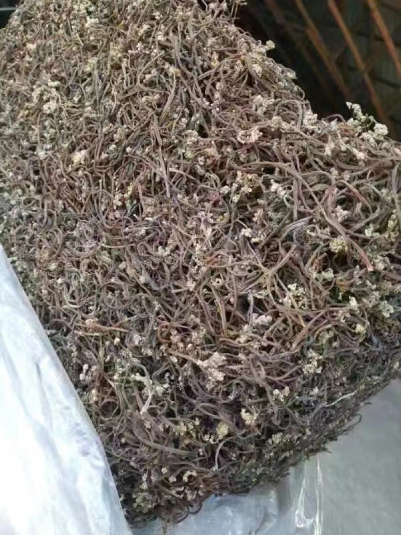 东北蕨菜干（紫色）