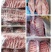 猪精肋排一件20斤鲜冻肋排全程冷链运输全国接单欢迎选购
