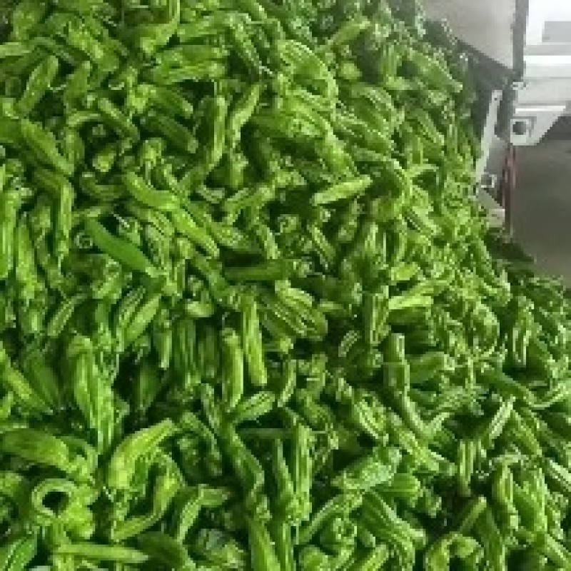 鲜辣椒薄皮椒芜湖椒苏椒火爆上市中，对接各大市场电商商超