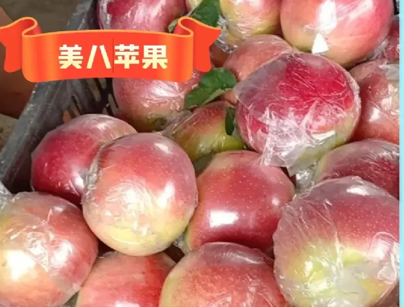 河北苹果美八苹果膜袋苹果产地一手货源量大从优