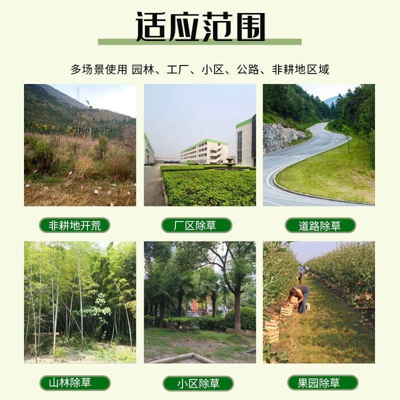 41除草剂烂根死根百草一扫光草甘膦灭草剂果树除草剂