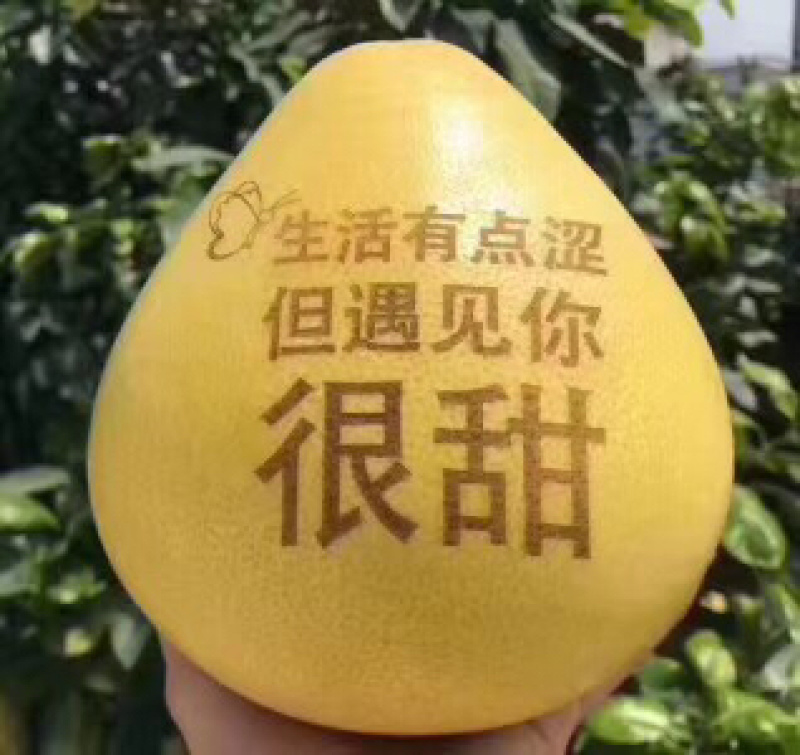 蜜柚（福建省漳州市平和县琯溪蜜柚）