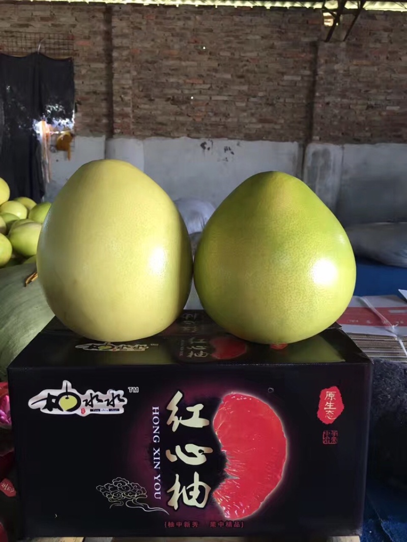 蜜柚（福建省漳州市平和县琯溪蜜柚）