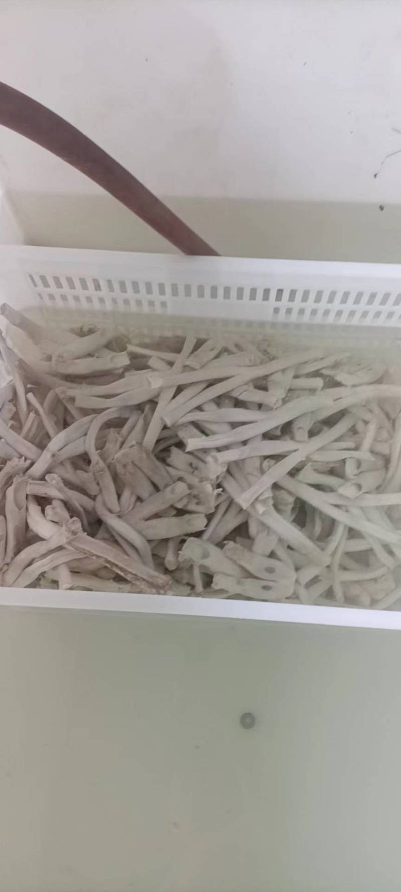 人字筋牛蹄筋