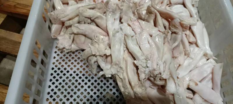 人字筋牛蹄筋