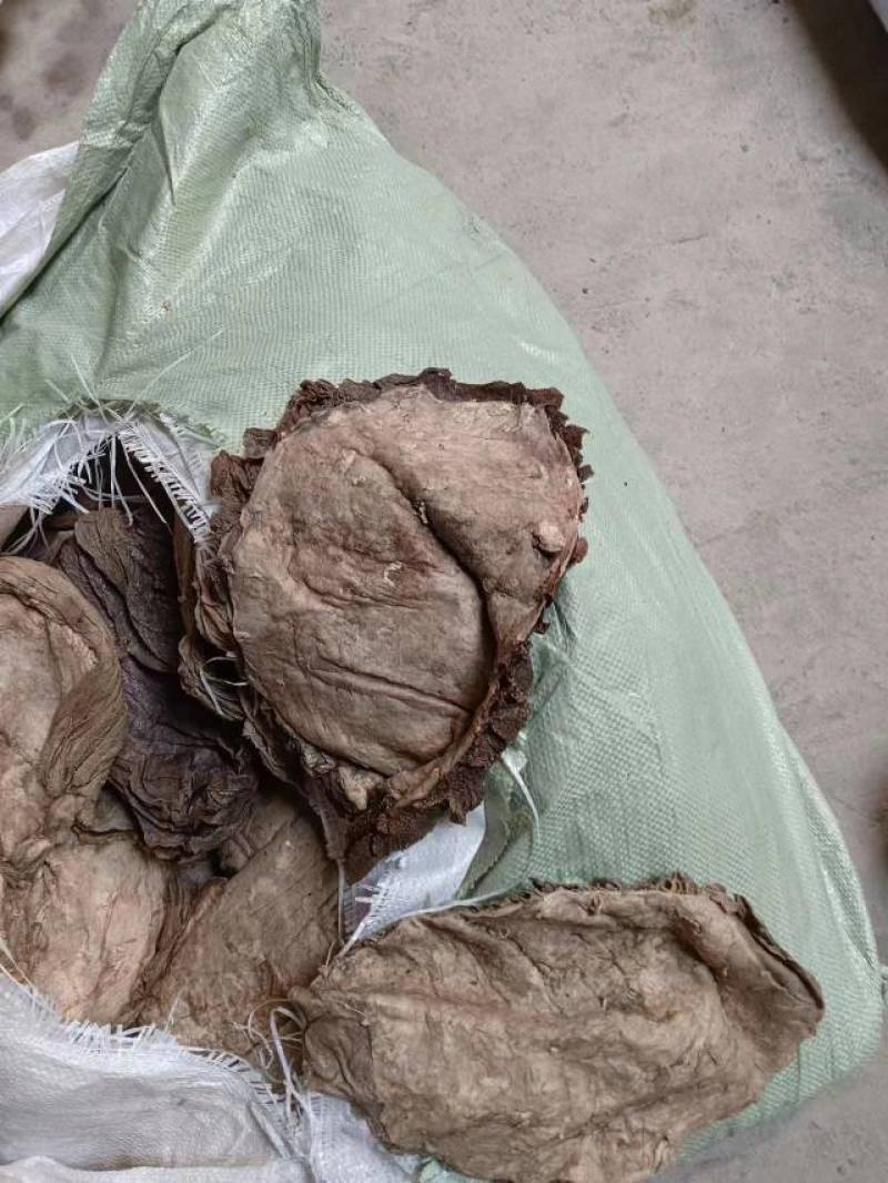 盐百叶，盐毛肚，水分少，盐分少，底板干净