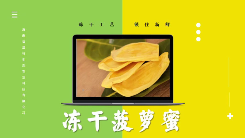 （一件代发）冻干菠萝蜜，货量稳定，质量保证，