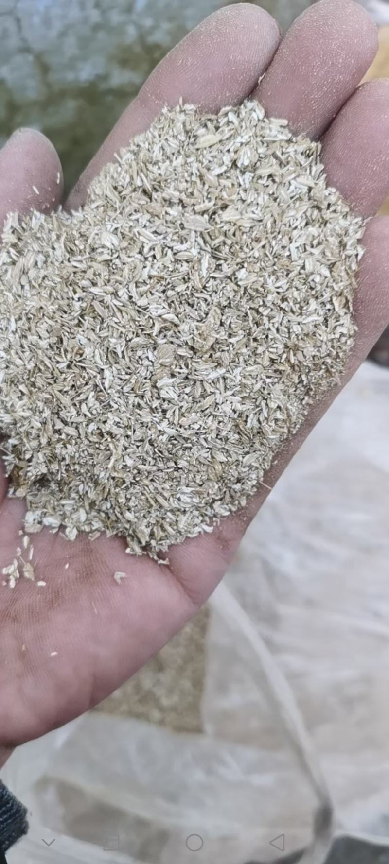 孜然杆子，打粉神奇