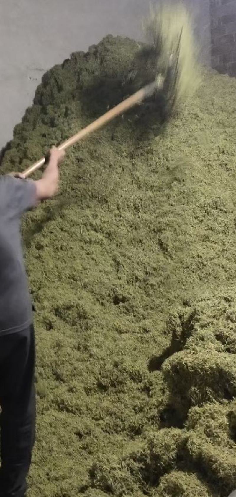 落神花玫瑰茄各种花茶中药材批发