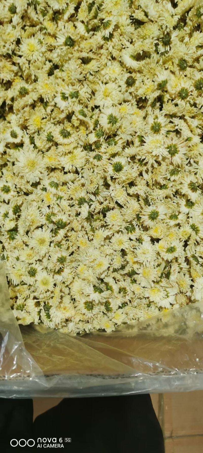 落神花玫瑰茄各种花茶中药材批发