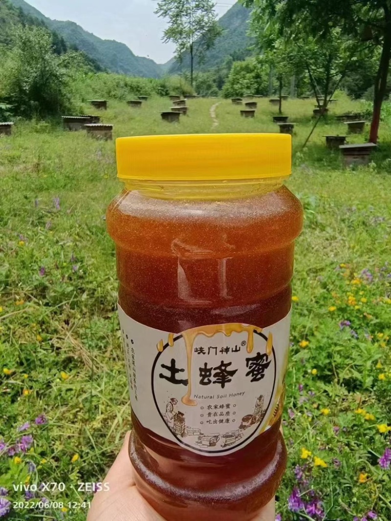 [推荐]甘肃陇南蜂蜜土蜂蜜农家养殖蜂场直发