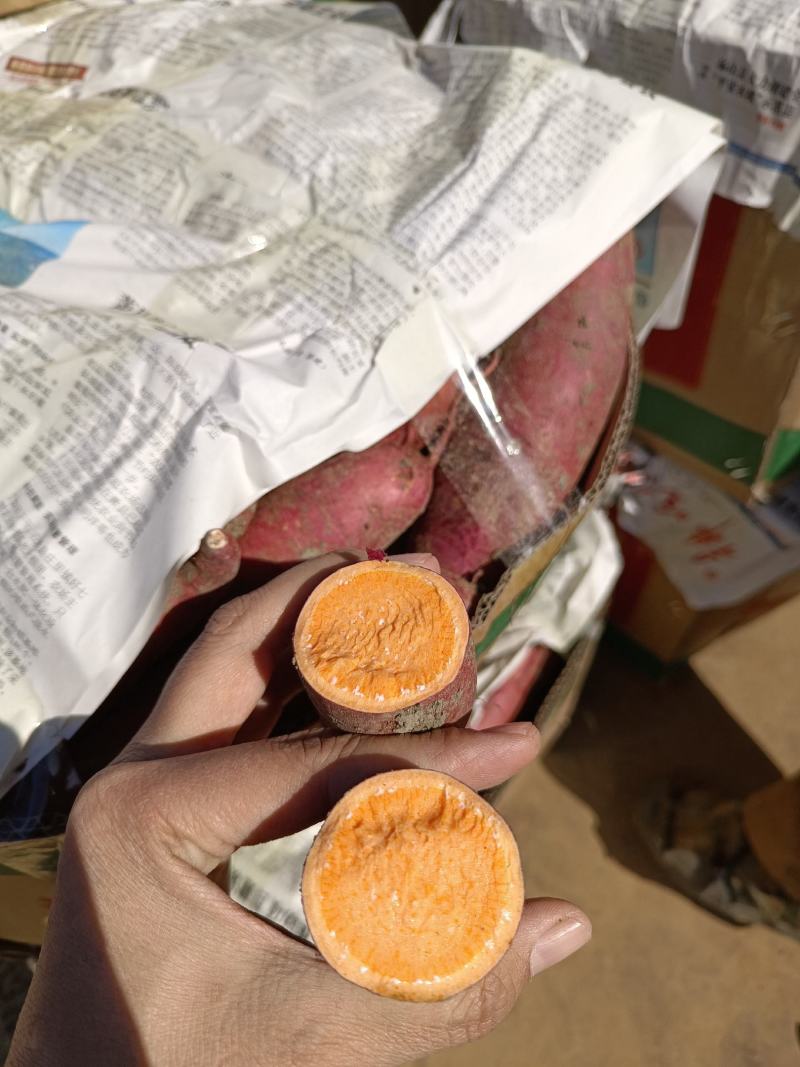 西瓜红丘陵沙地，口感软糯香甜，颜色鲜艳，箱装袋装
