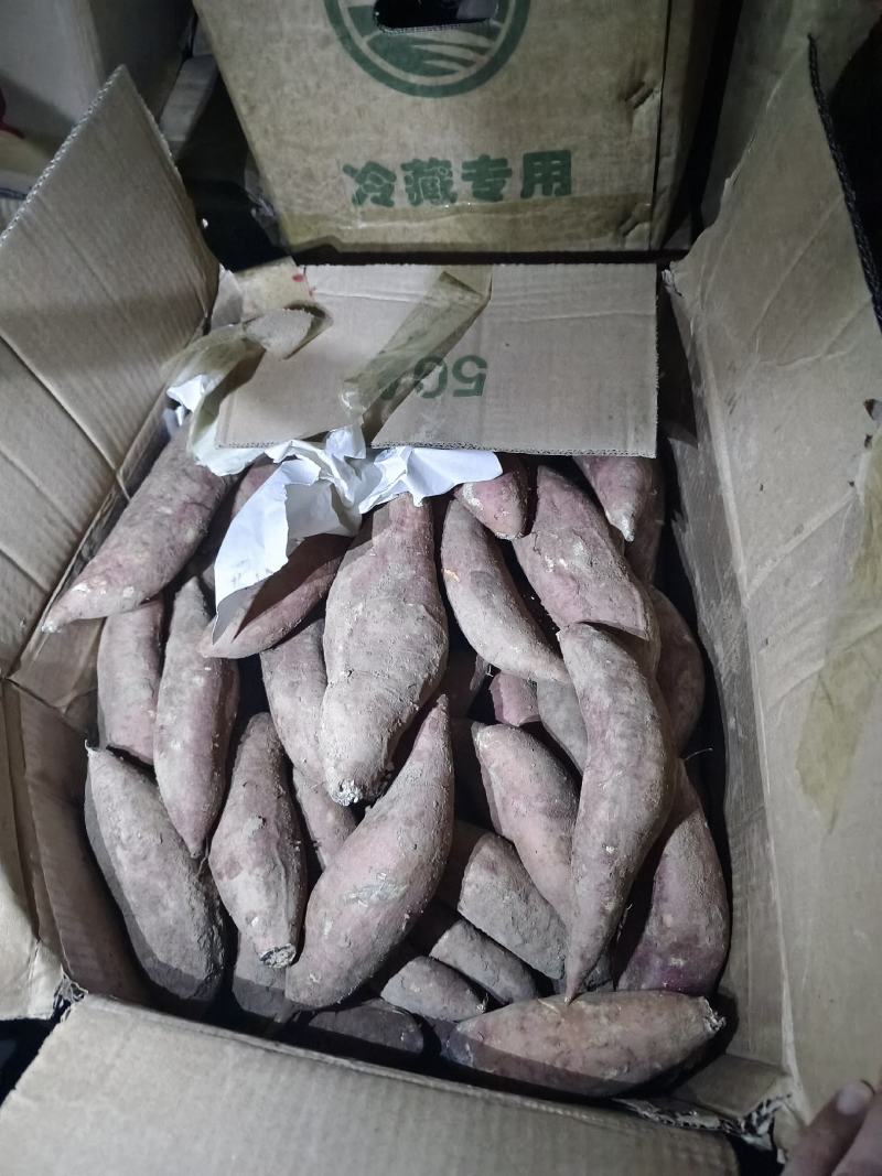 西瓜红丘陵沙地，口感软糯香甜，颜色鲜艳，箱装袋装