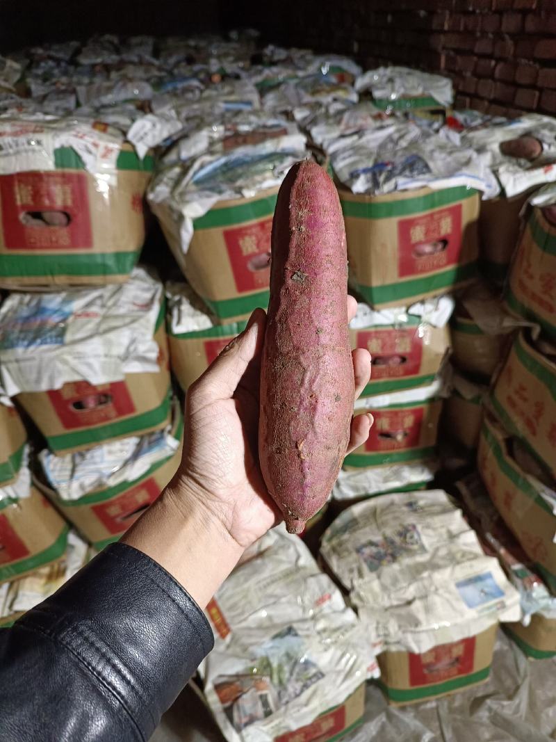 西瓜红丘陵沙地，口感软糯香甜，颜色鲜艳，箱装袋装
