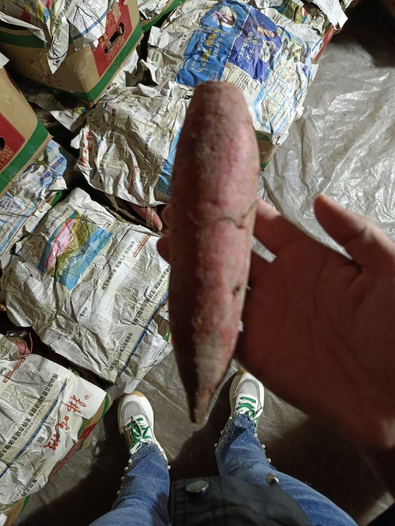 西瓜红丘陵沙地，口感软糯香甜，颜色鲜艳，箱装袋装