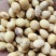 出售2023年湖北新豆，豆腐豆
