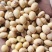出售2023年湖北新豆，豆腐豆