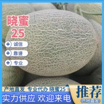海南哈密瓜大量上市，牛三，网文，晓蜜，凤金已有现货，欢迎