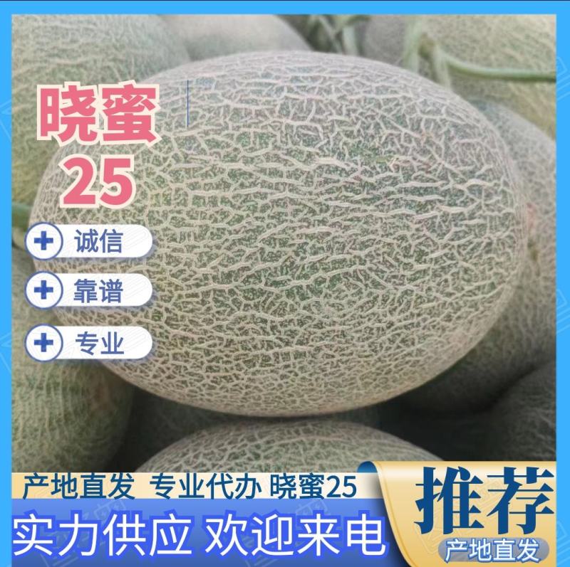 海南哈密瓜大量上市，牛三，网文，晓蜜，凤金已有现货，欢迎