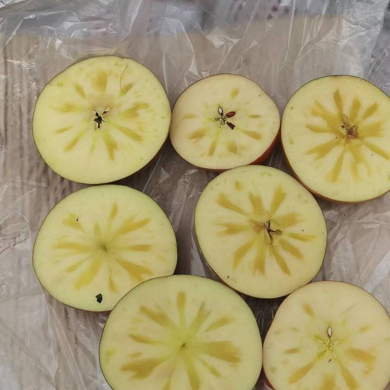 大凉山盐源丑苹果