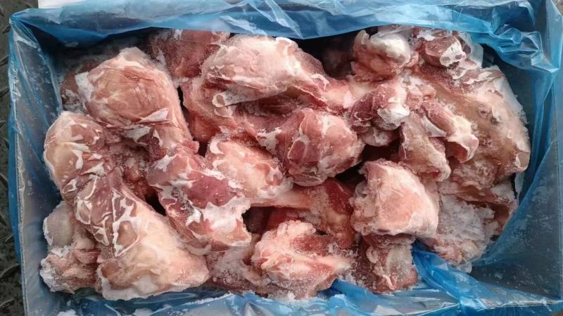 皇冠多肉前腿骨