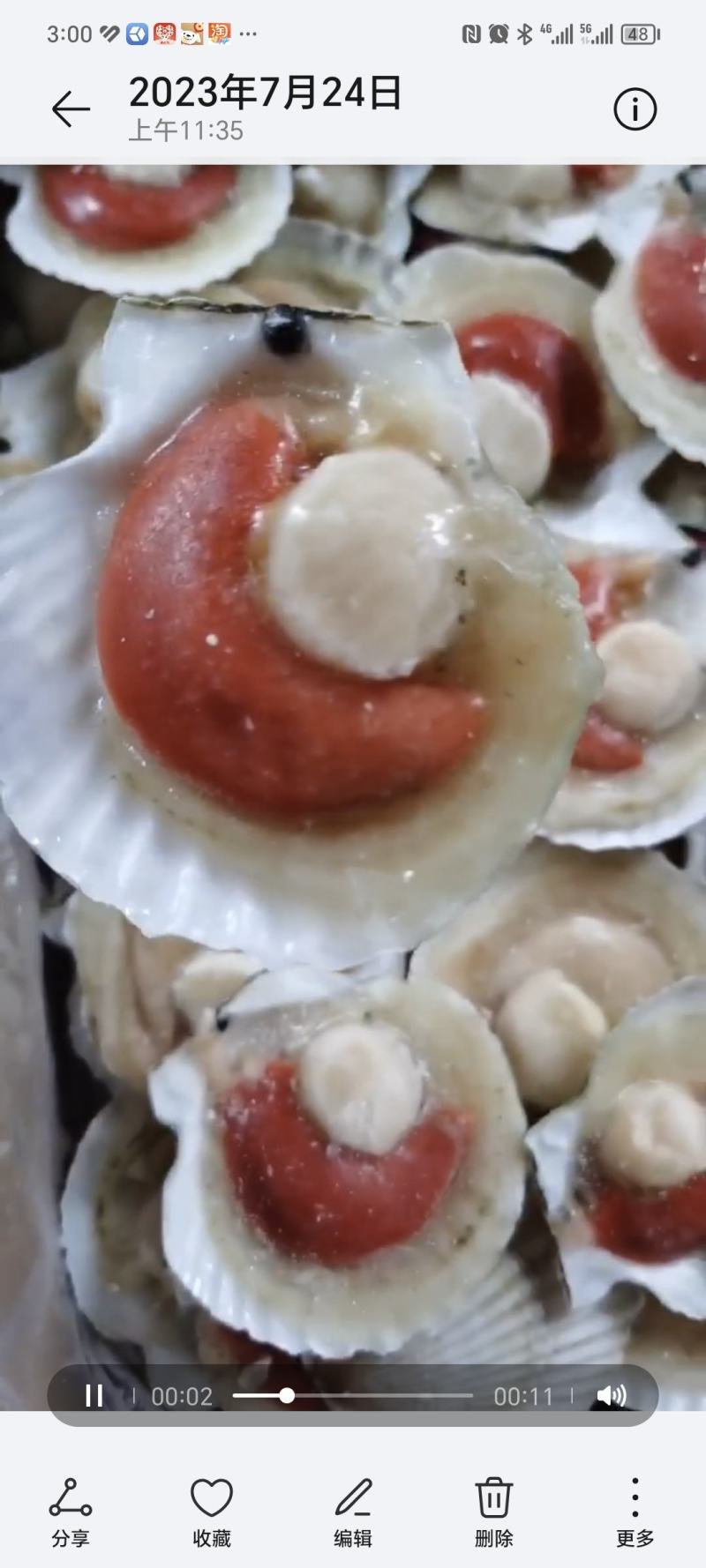 原汁扇贝虾夷扇贝高质量扇贝优质酒店食材