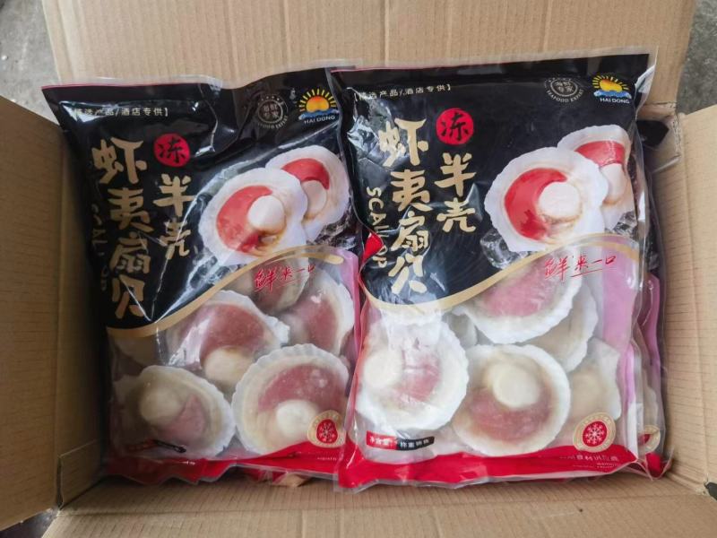 原汁扇贝虾夷扇贝高质量扇贝优质酒店食材
