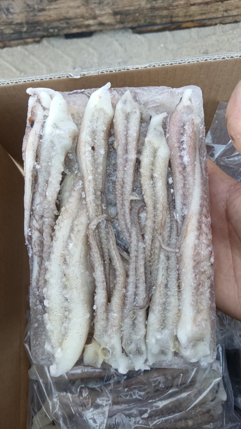 鱿鱼须二本足（阿尤）