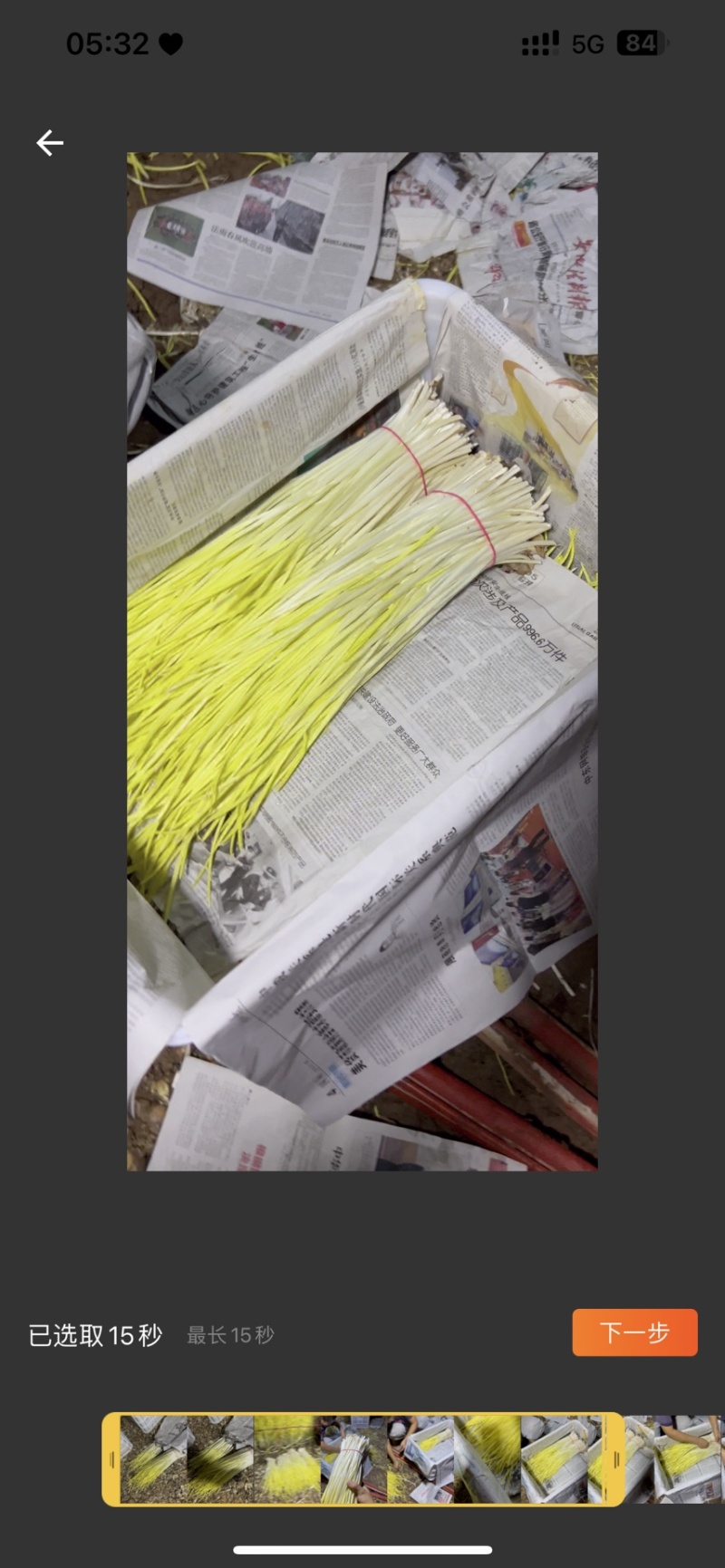 精品蒜黄持续上市中～有需要电话联系