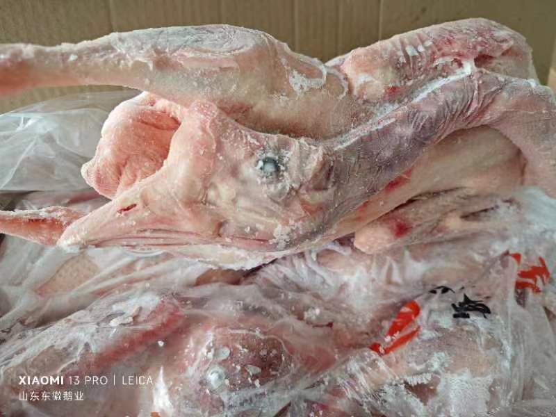 老鹅@济南东徽诚品鹅业，专业白条鹅供应商，全国冷链直发