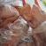 老鹅@济南东徽诚品鹅业，专业白条鹅供应商，全国冷链直发