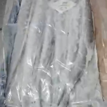 冷冻刀鱼