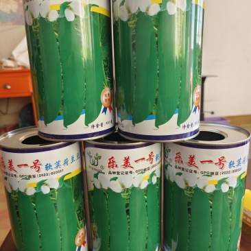 乐美一号（软荚）荷兰豆种子图片视频看货