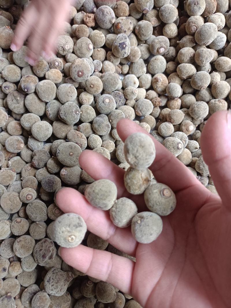 批发产地橘红胎果，小胎果，一手货源，大量有货，价格美丽