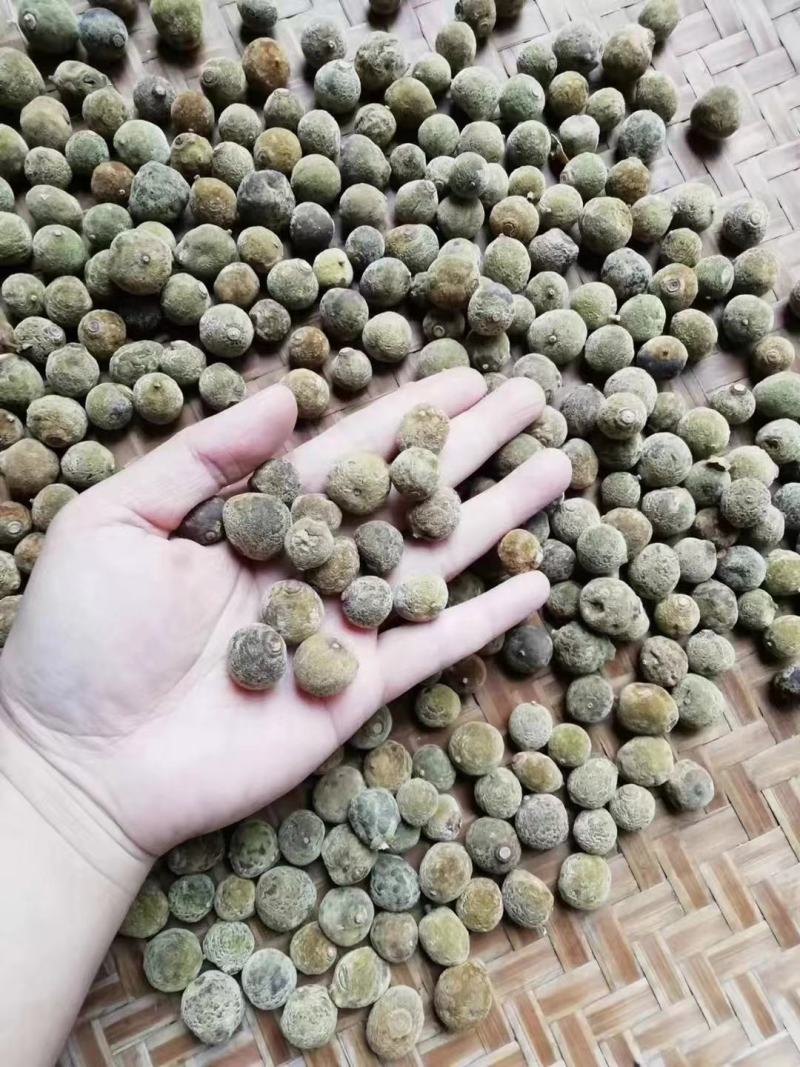 批发产地橘红胎果，小胎果，一手货源，大量有货，价格美丽