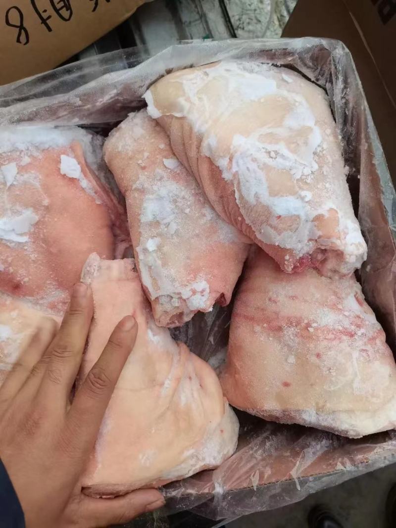 猪肘子适合餐饮喜宴大小均匀经济实惠