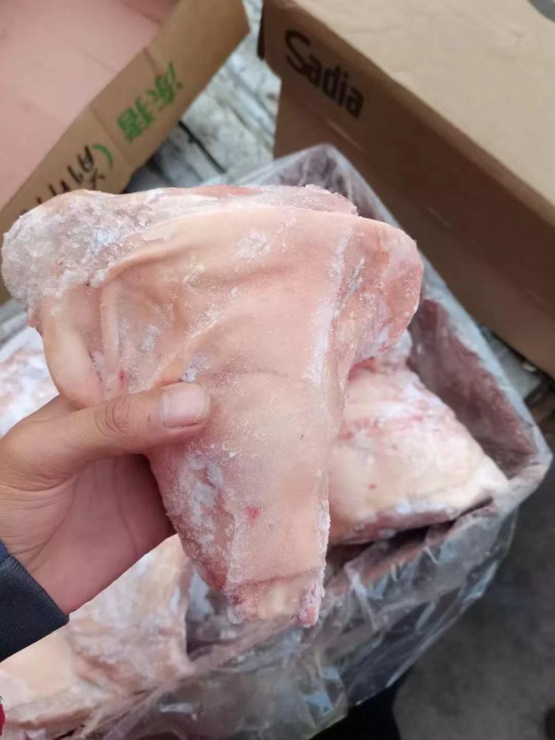 猪肘子适合餐饮喜宴大小均匀经济实惠