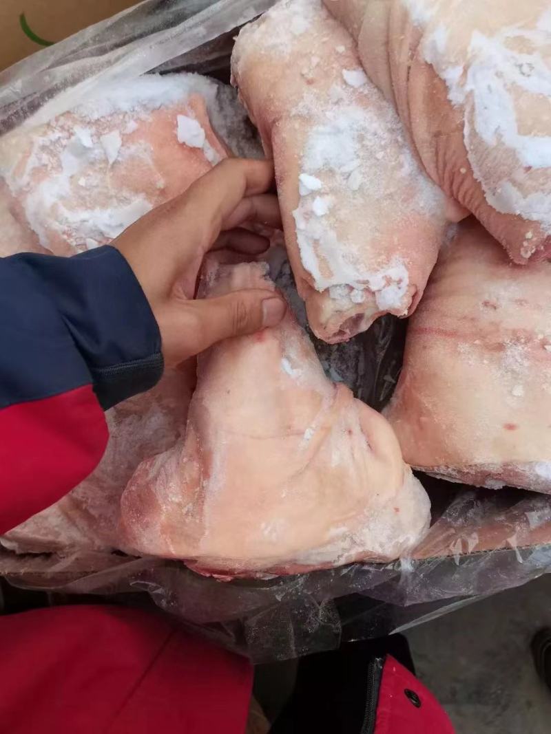 猪肘子适合餐饮喜宴大小均匀经济实惠