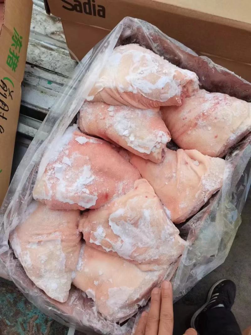 猪肘子适合餐饮喜宴大小均匀经济实惠