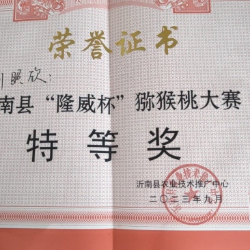碧玉猕猴桃